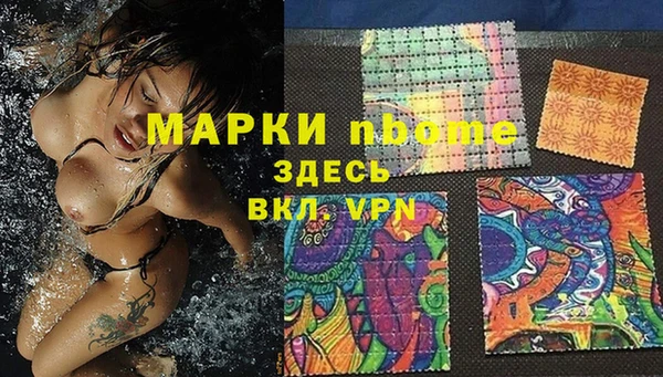 мет Алексин