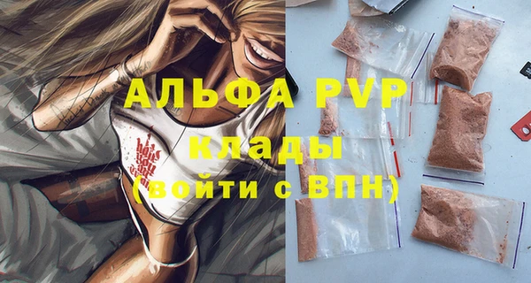 мет Алексин