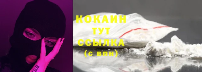 спиды Алзамай