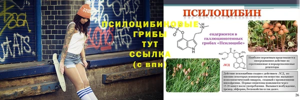 соль ск Алексеевка
