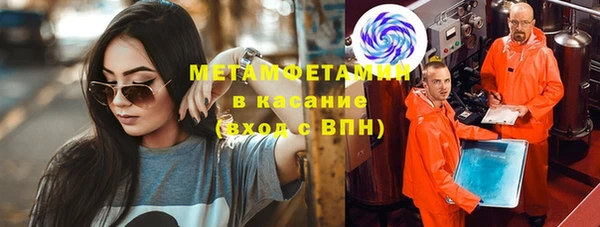мет Алексин